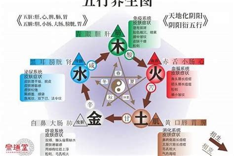 屬木的人缺水|五行缺木缺水該怎麼辦 五行缺木的會怎樣